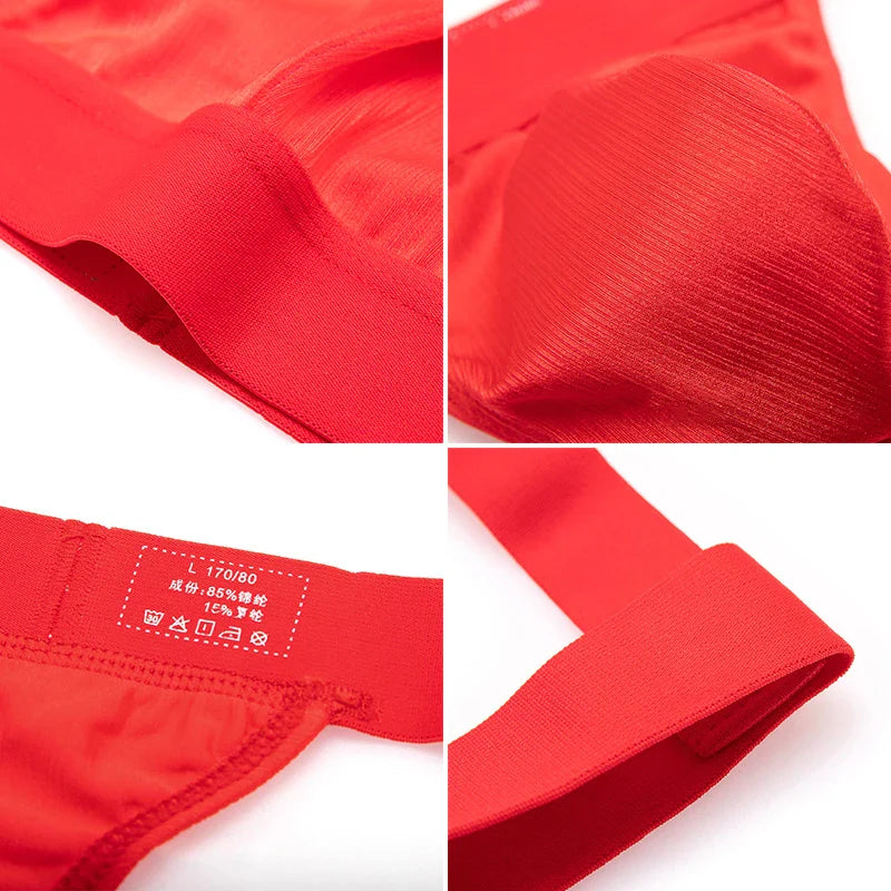 BoldGarter Men's Lingerie Briefs