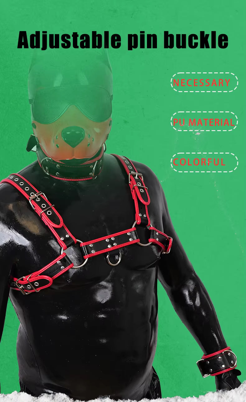 Harness, Cuff, Collar Bundle Orange