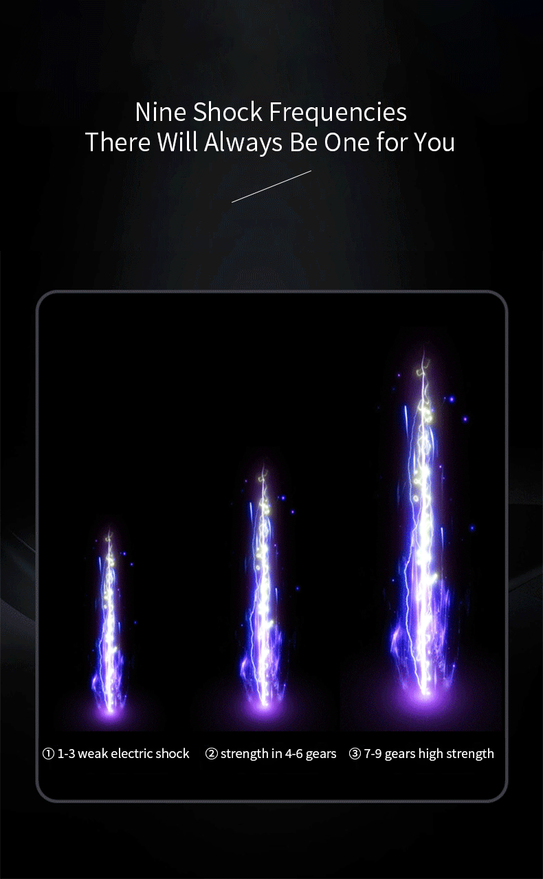 Remote Control Shock Chastity Cage