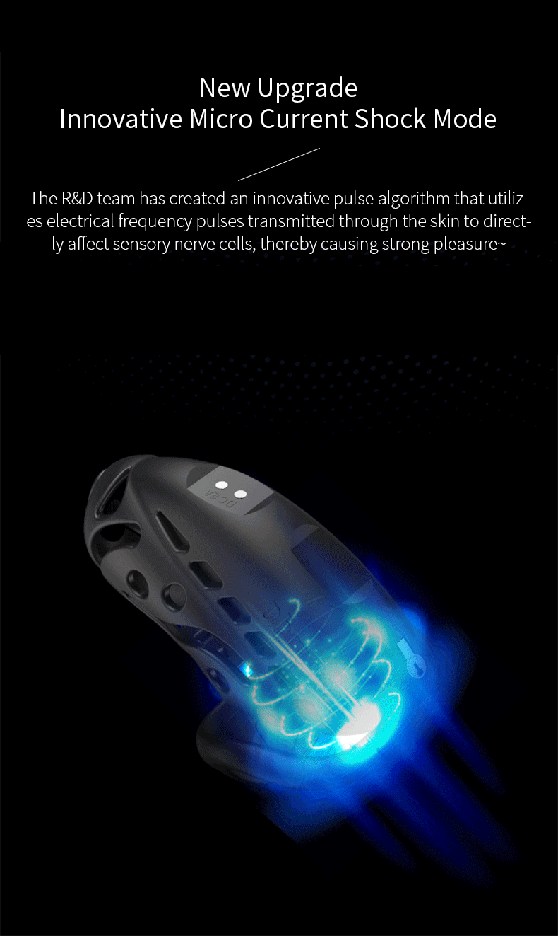 Remote Control Shock Chastity Cage