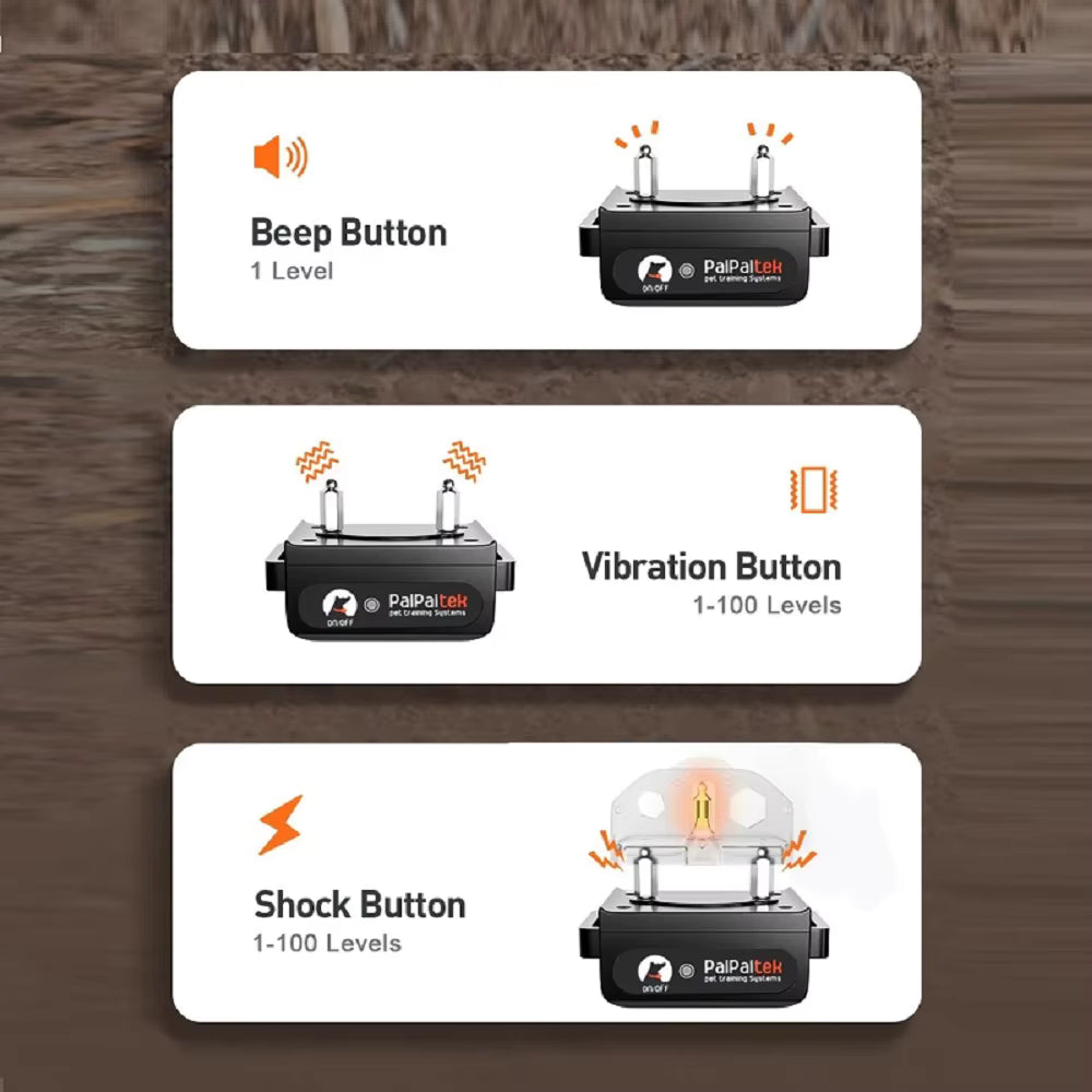 Electric Shock Collar (1000m) Orange