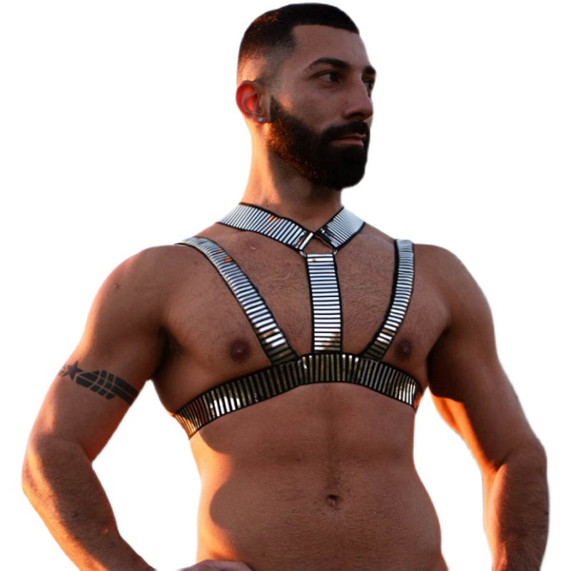 Silver Slave Daddy Harness