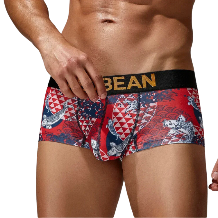 SEOBEAN Festive Fish Boxer Briefs