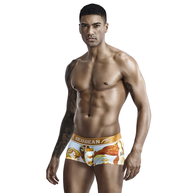 SEOBEAN Luxe Print Silk Low-Waist Boxers