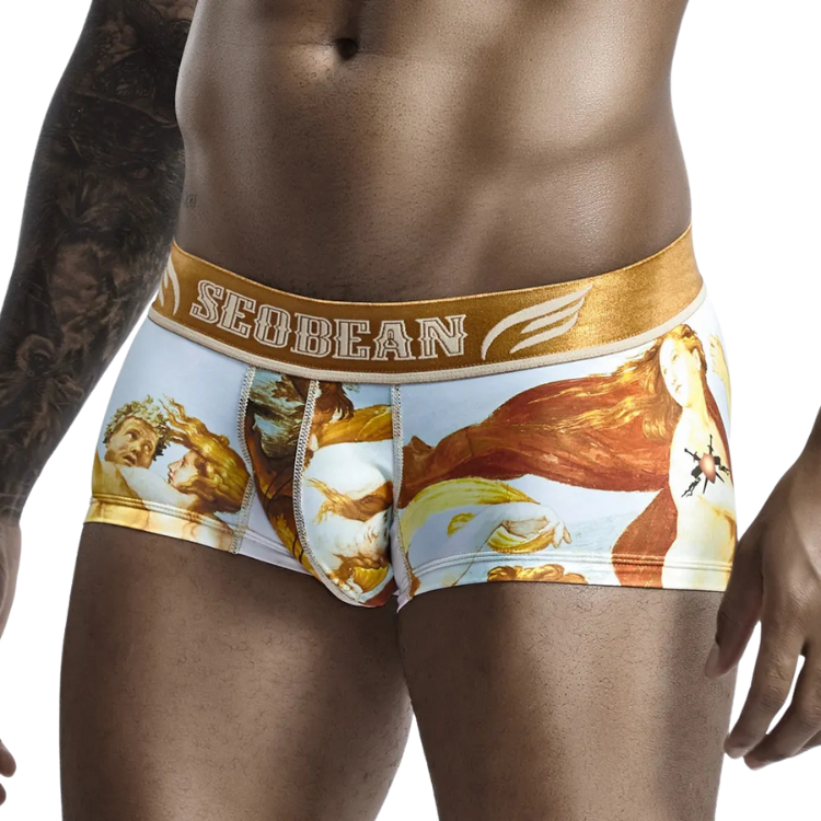 SEOBEAN Luxe Print Silk Low-Waist Boxers
