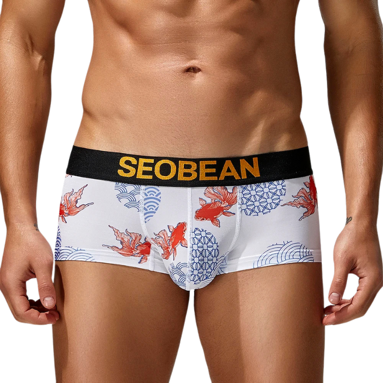 SEOBEAN Year of the Pisces Briefs