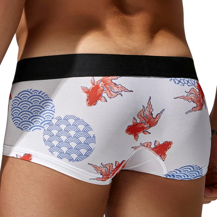 SEOBEAN Year of the Pisces Briefs