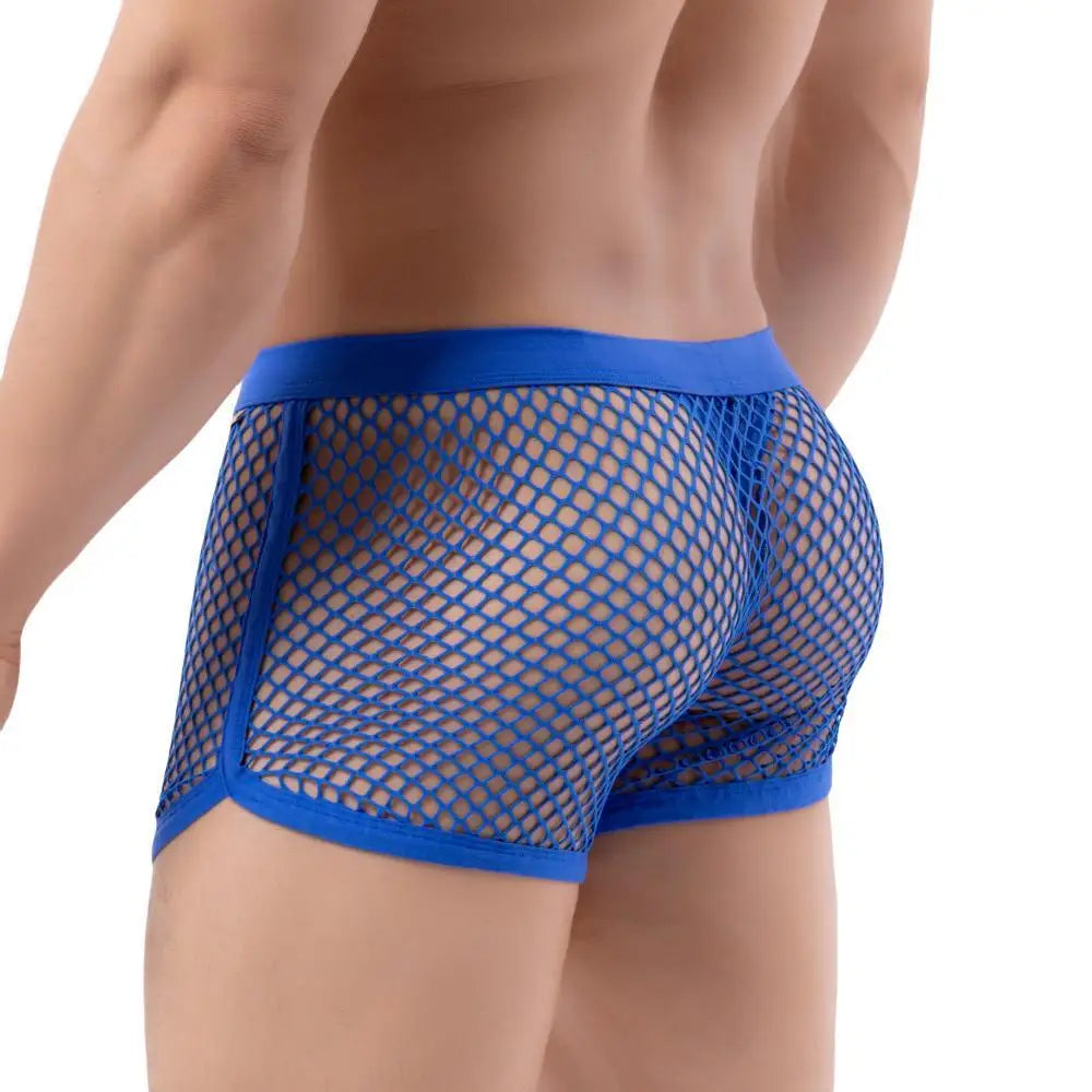 AllureFit Sexy Mesh Boxers Briefs