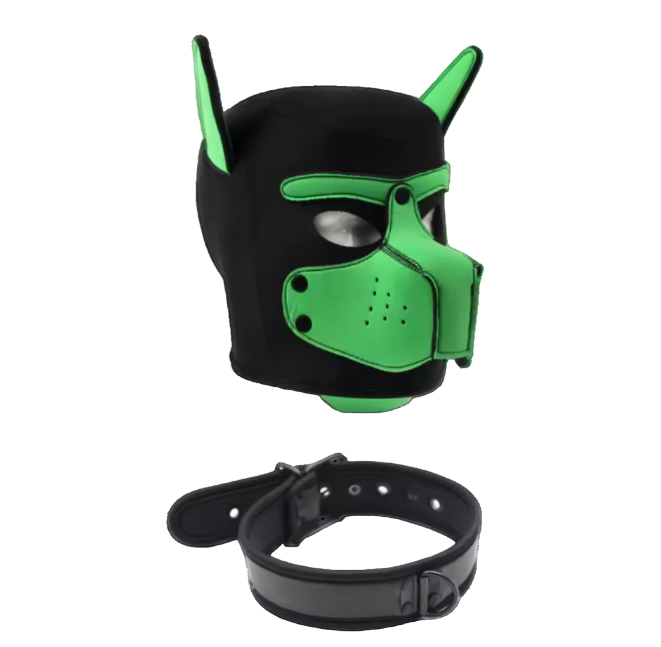 Pup Starter Kit Pink Green