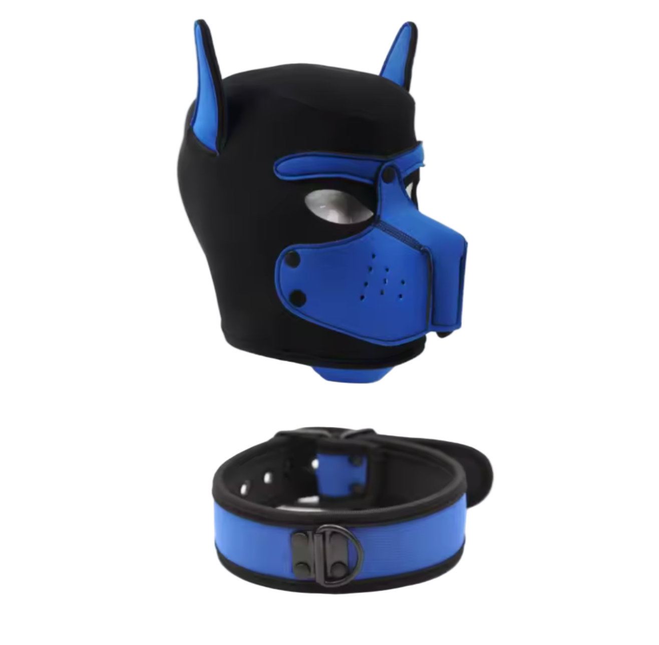 Pup Starter Kit Blue