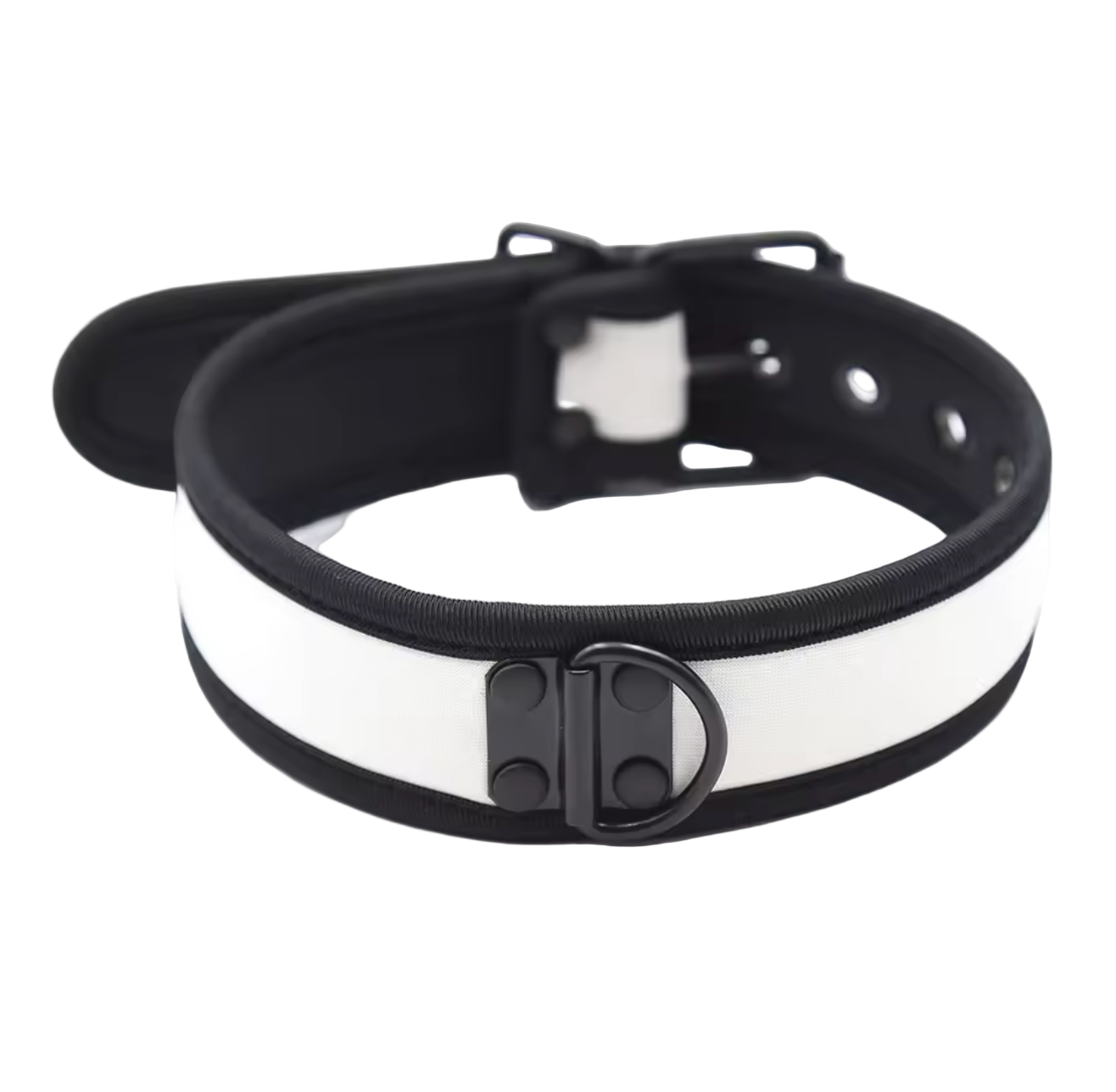 K9 Collar White