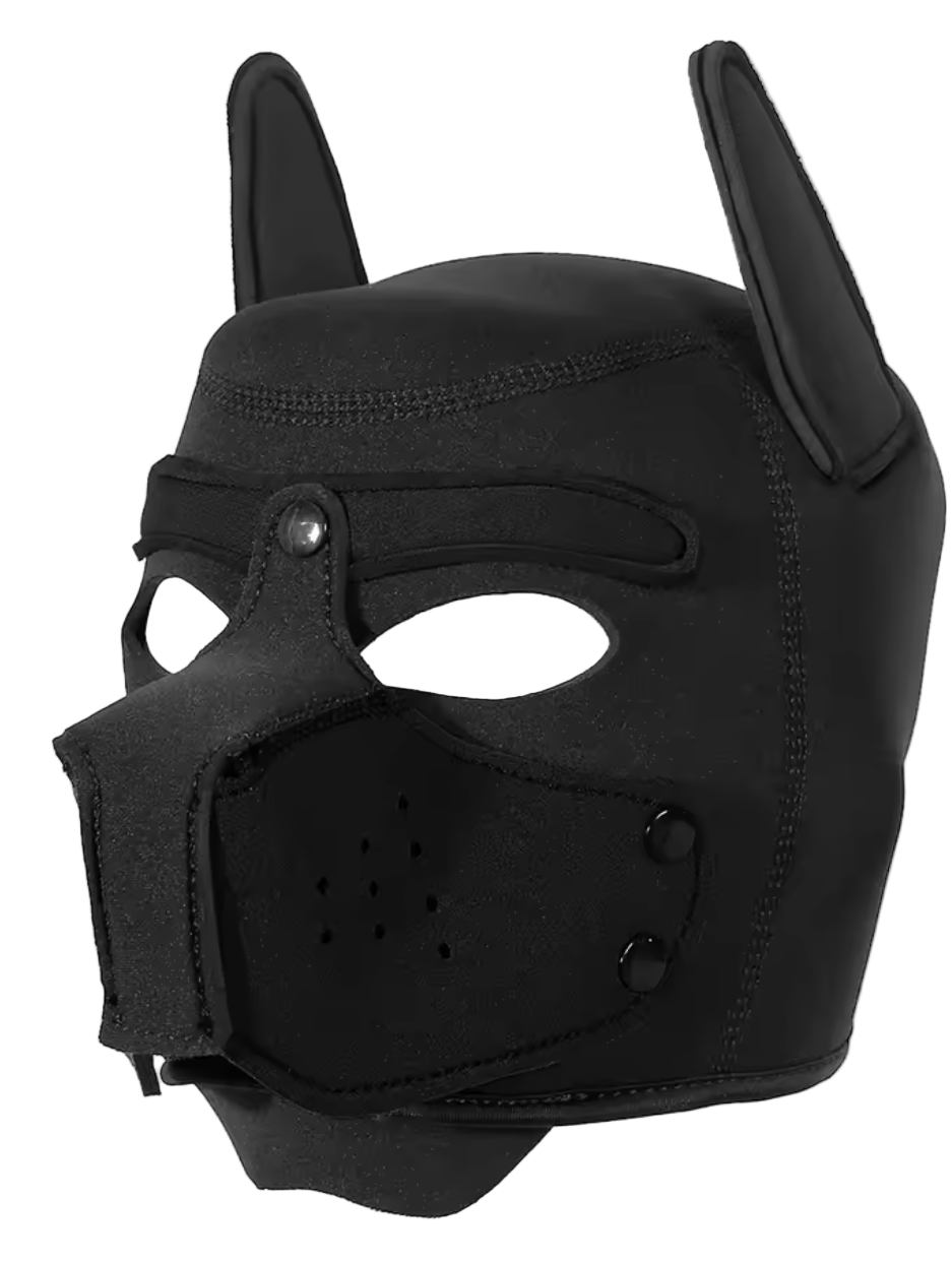 Puppies First Hood Black