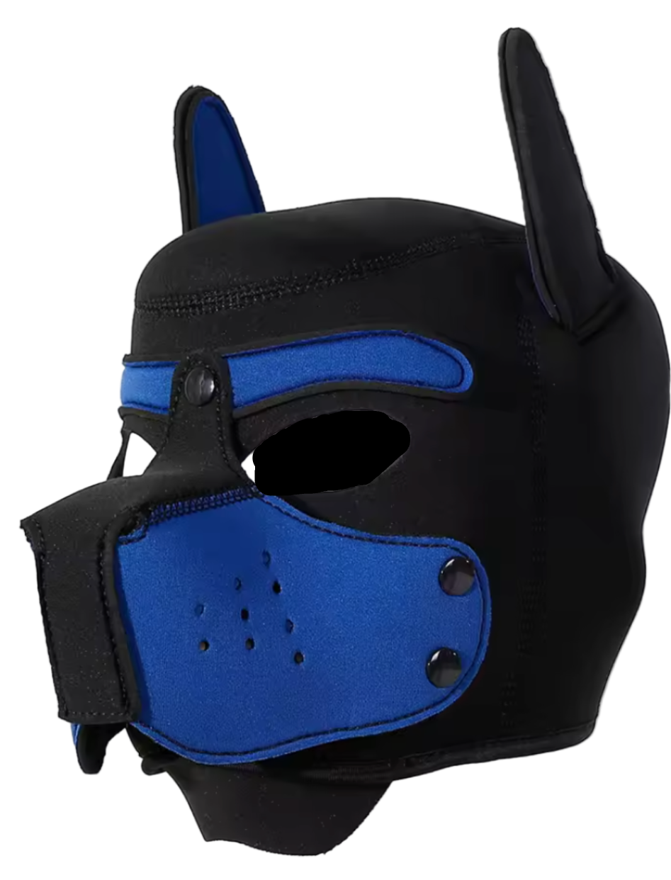 Puppies First Hood Blue