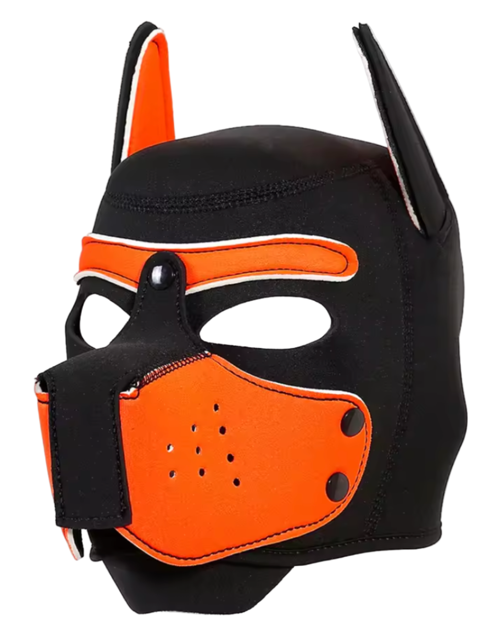 Puppies First Hood Orange