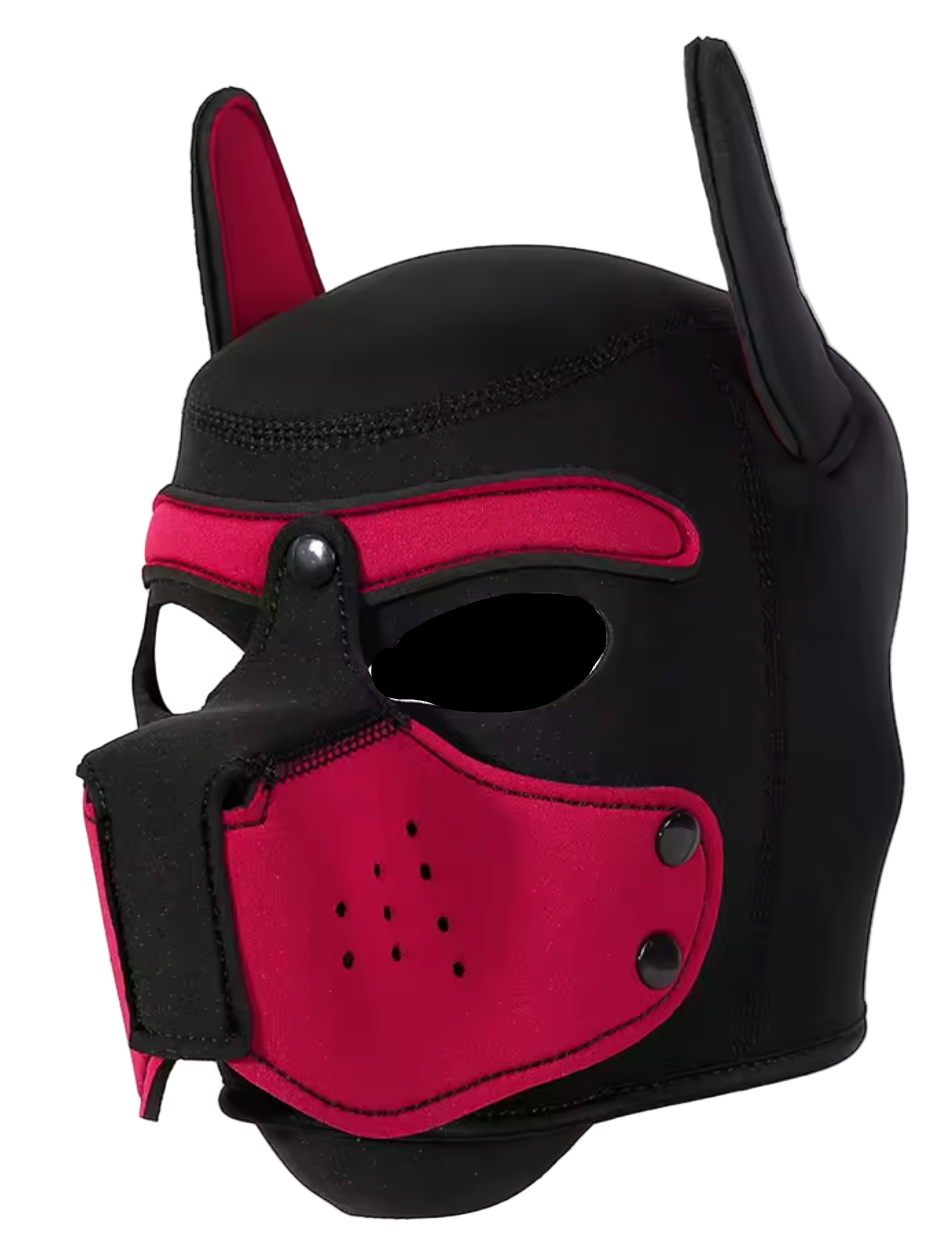 Puppies First Hood Red