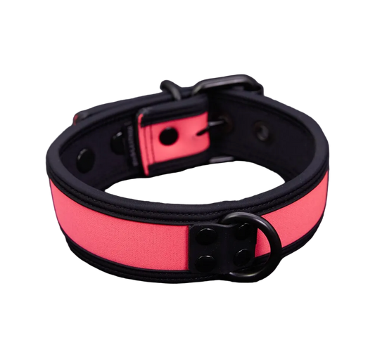 Mr S Leather NEO Puppy Collar Pink