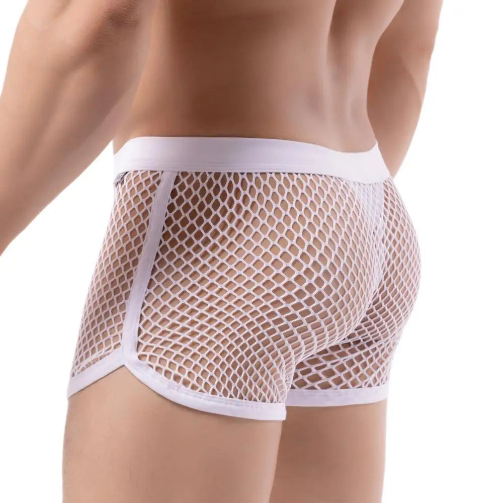 AllureFit Sexy Mesh Boxers Briefs
