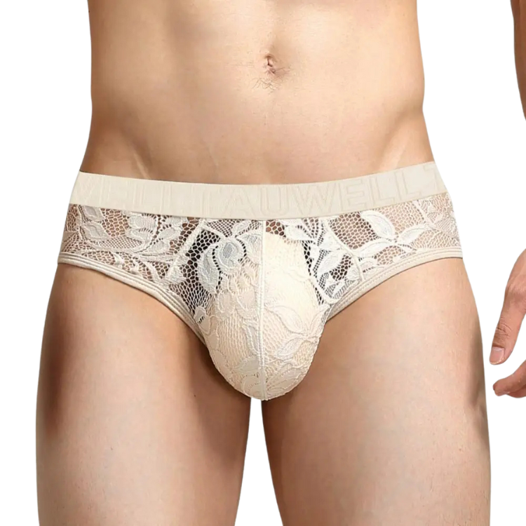Sheer Temptation Lace Briefs for Men