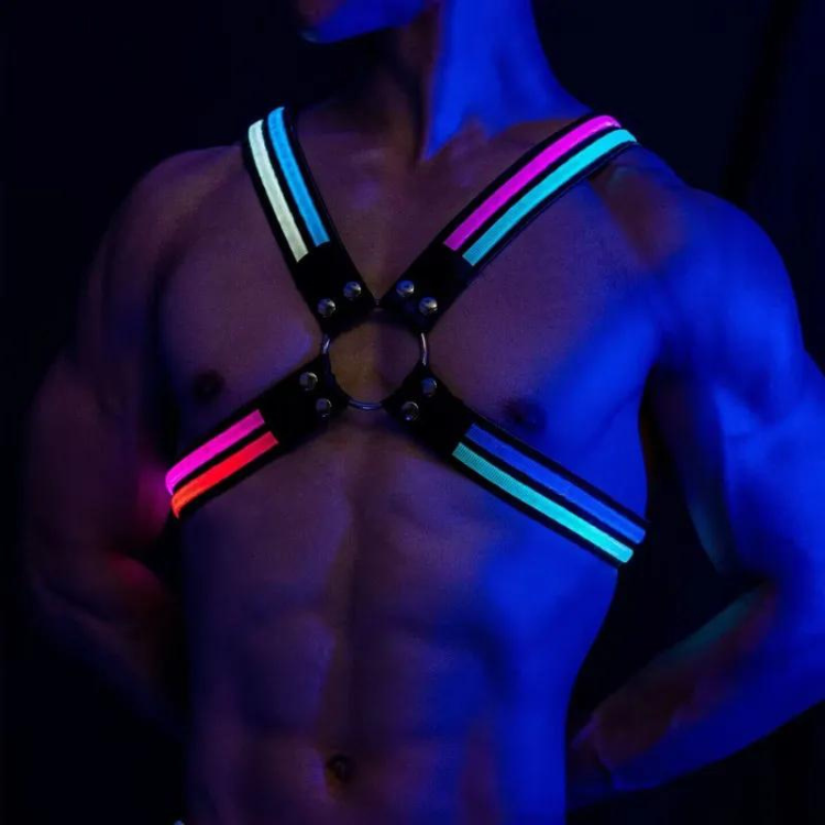 Shine Bright Circuit Party LED Harness