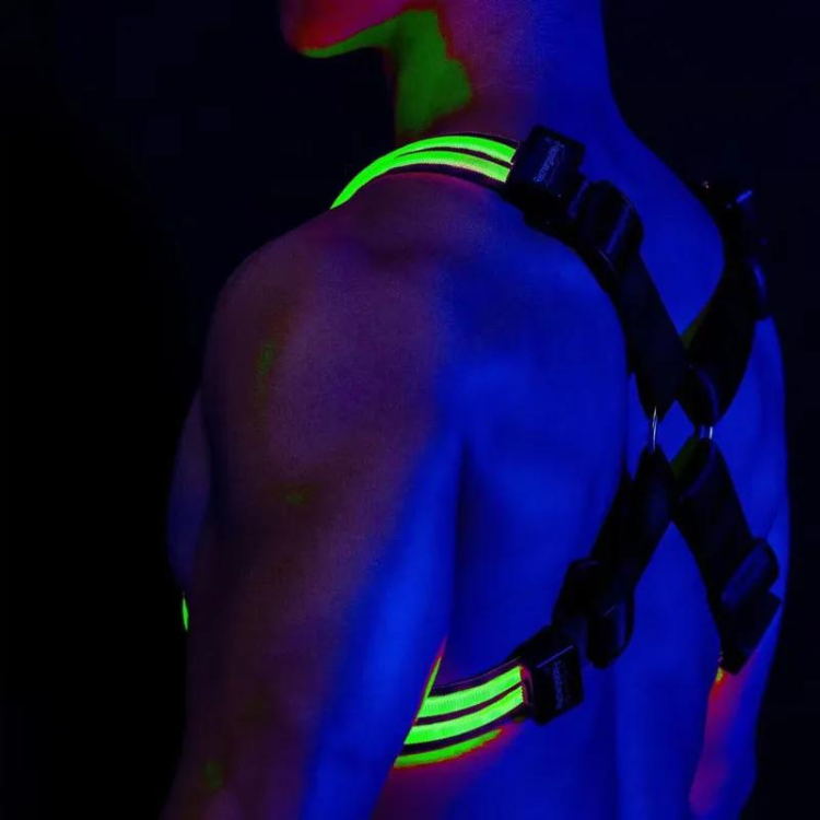 Shine Bright Circuit Party LED Harness