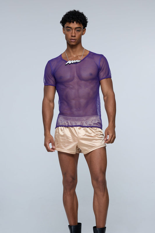 Soft Disclosure Mesh Cutout T-Shirt
