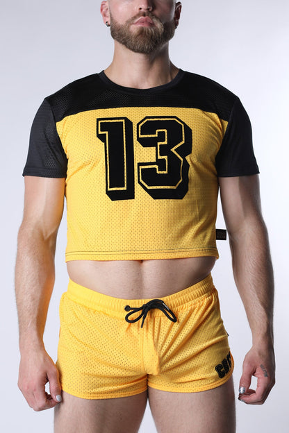 Starter Mesh Crop Tee