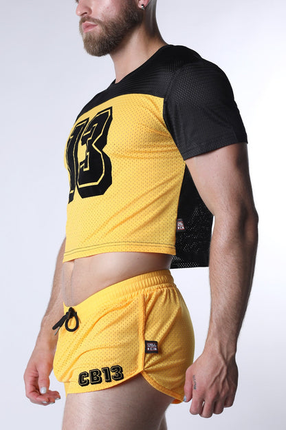 Starter Mesh Crop Tee