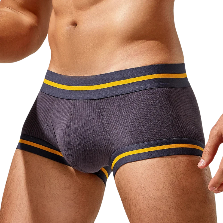 Tauwell Retro Era Boxer Briefs