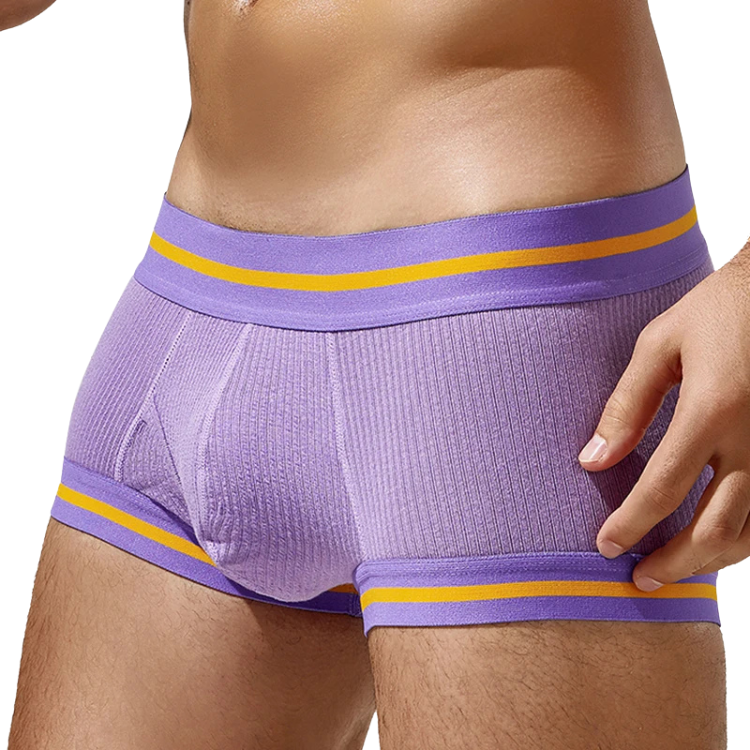 Tauwell Retro Era Boxer Briefs