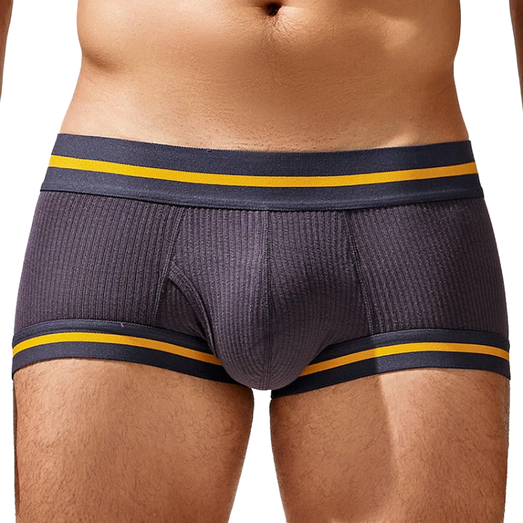 Tauwell Retro Era Boxer Briefs