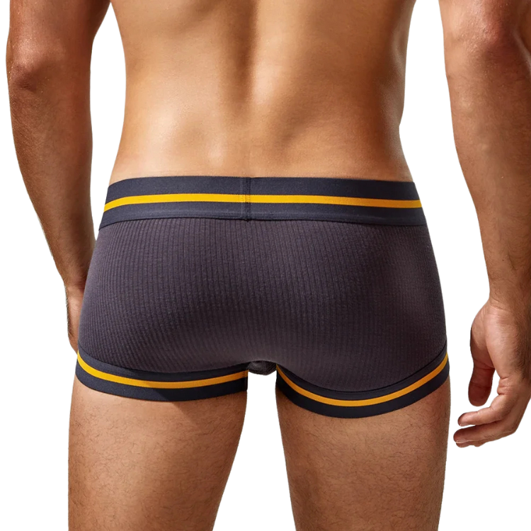 Tauwell Retro Era Boxer Briefs