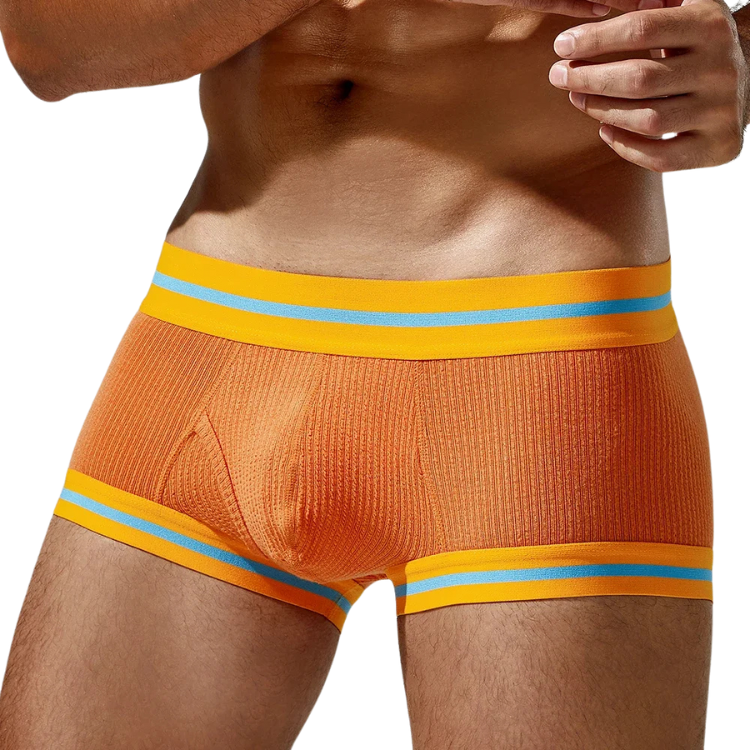 Tauwell Retro Era Boxer Briefs