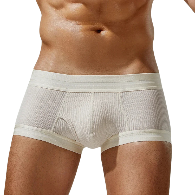 Tauwell Retro Era Boxer Briefs