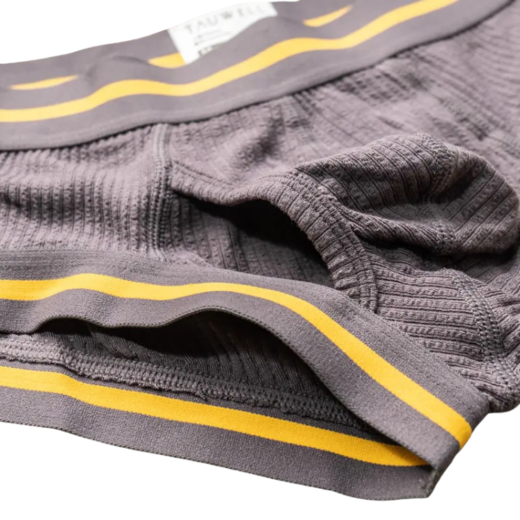 Tauwell Retro Era Boxer Briefs