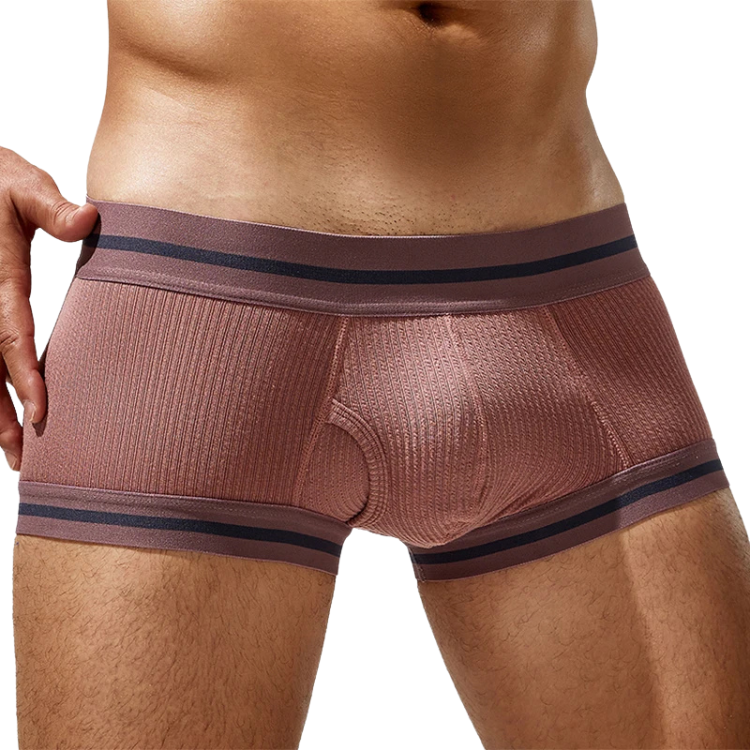 Tauwell Retro Era Boxer Briefs