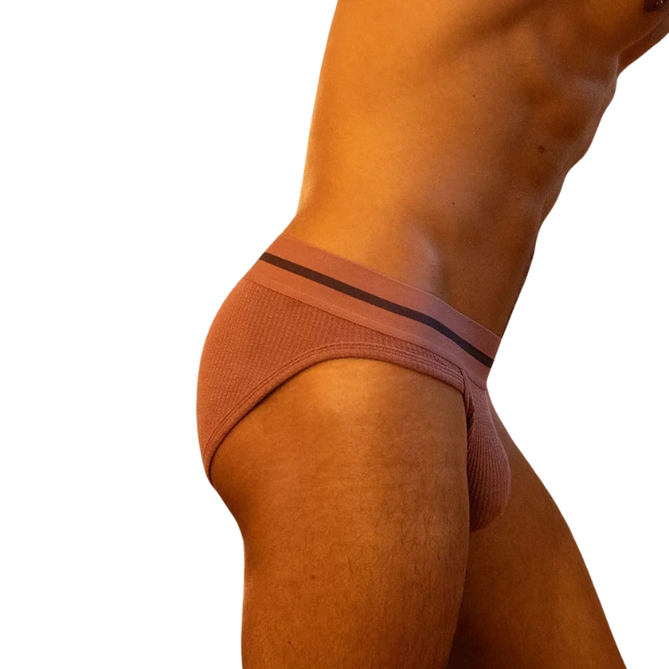Tauwell Retro Era Briefs