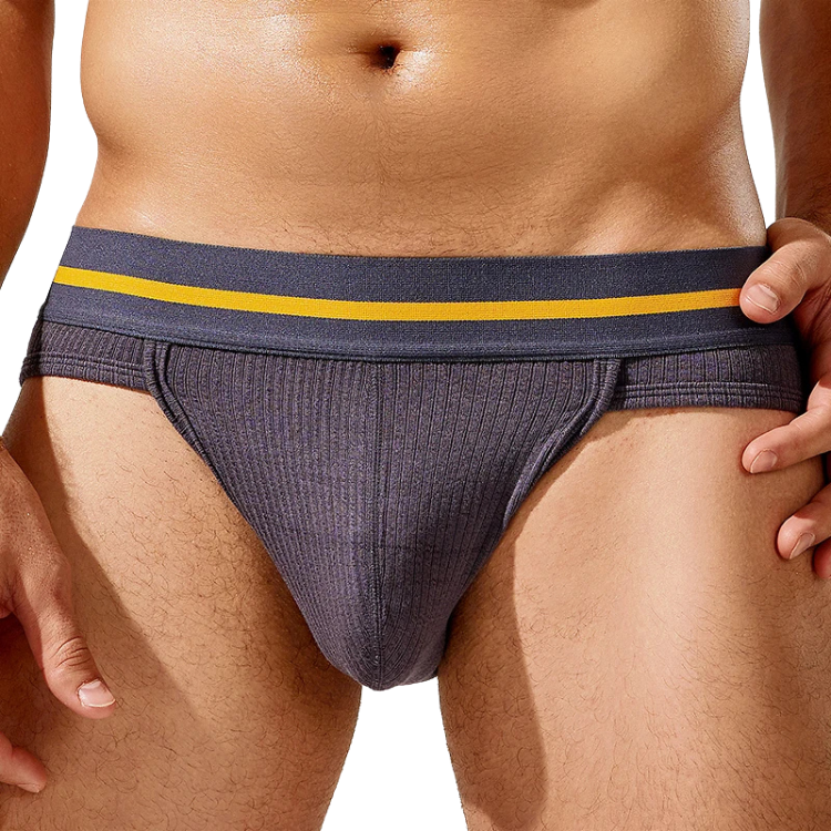 Tauwell Retro Era Briefs