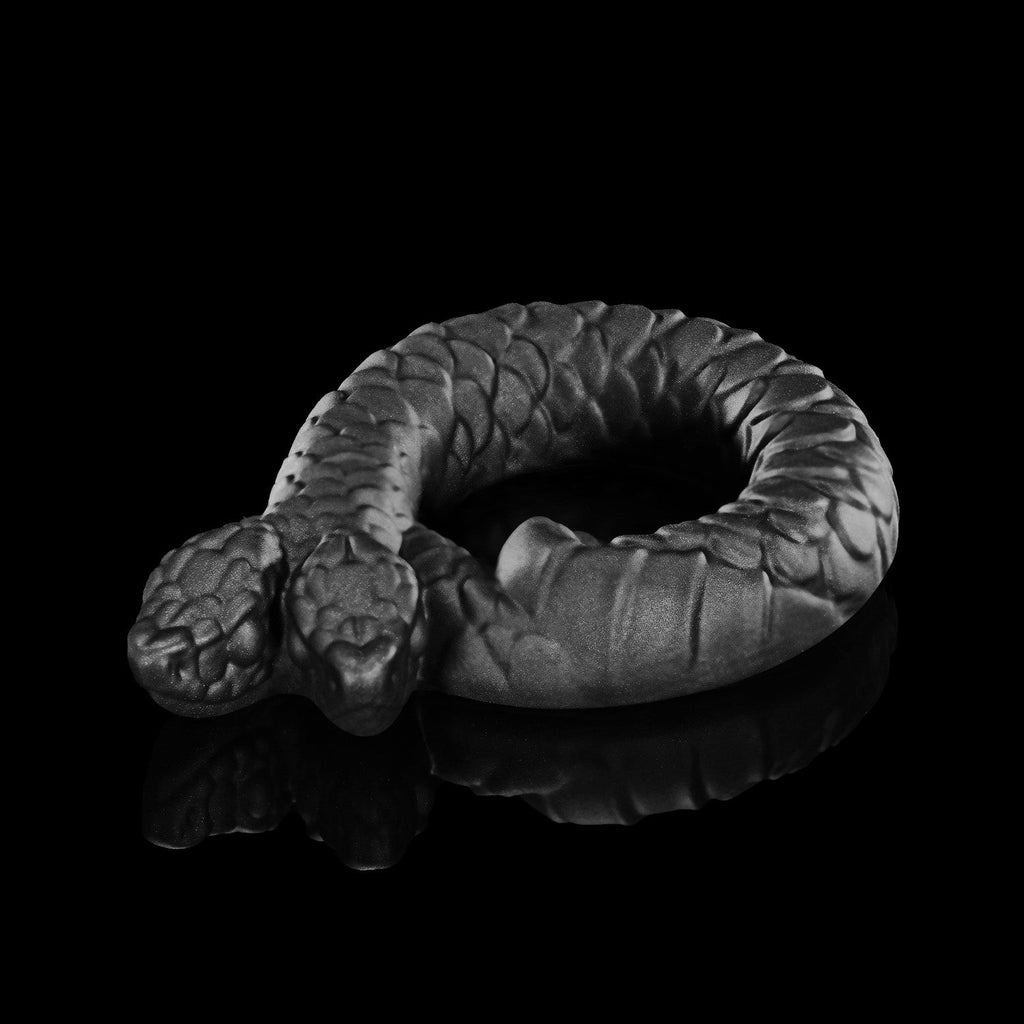 Twin's Ring