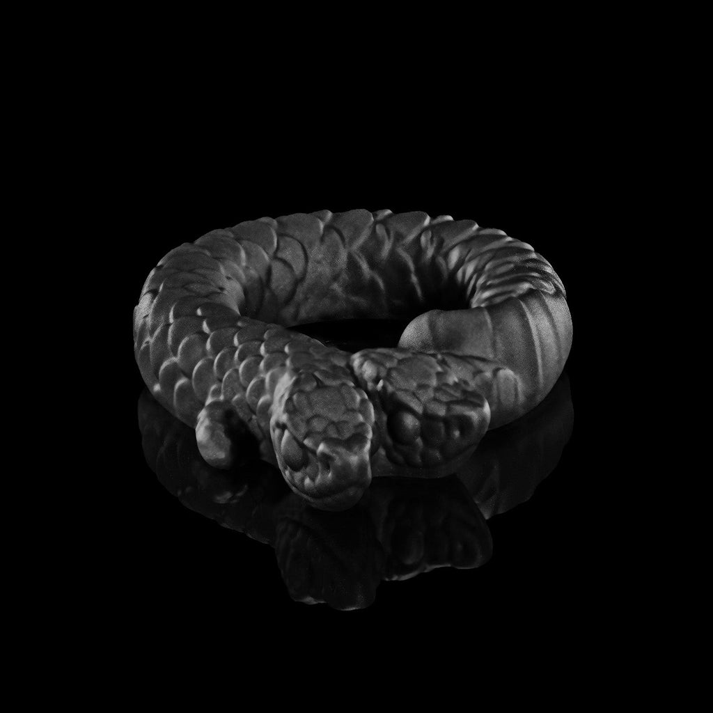 Twin's Ring
