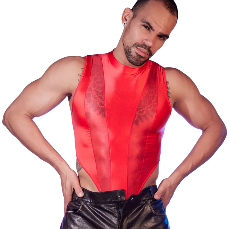 Transparent Tease Mesh Bodysuit