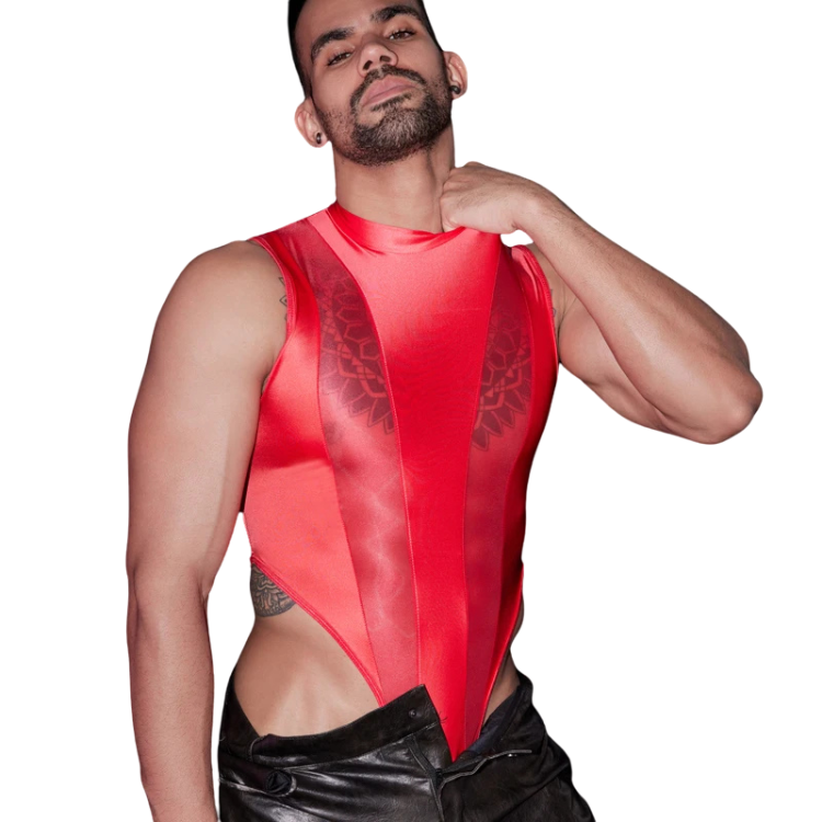 Transparent Tease Mesh Bodysuit