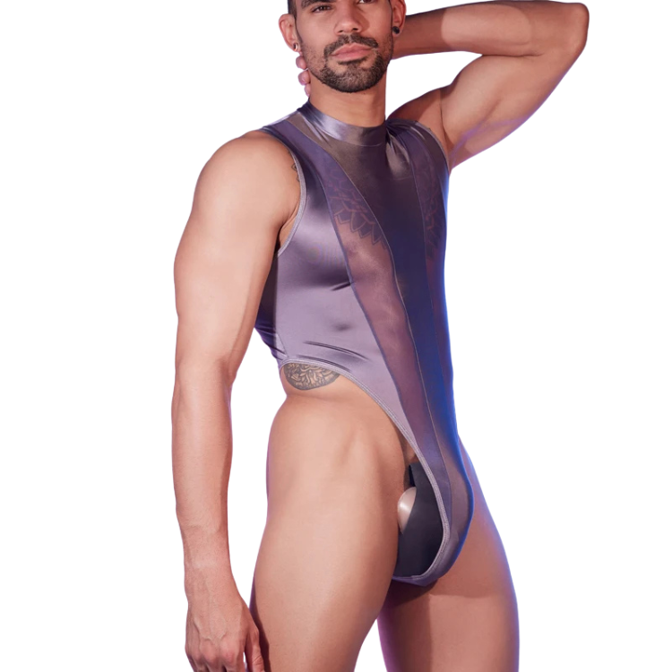Transparent Tease Mesh Bodysuit