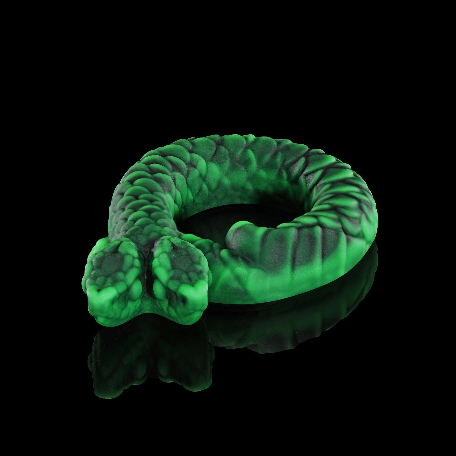 Twin's Ring