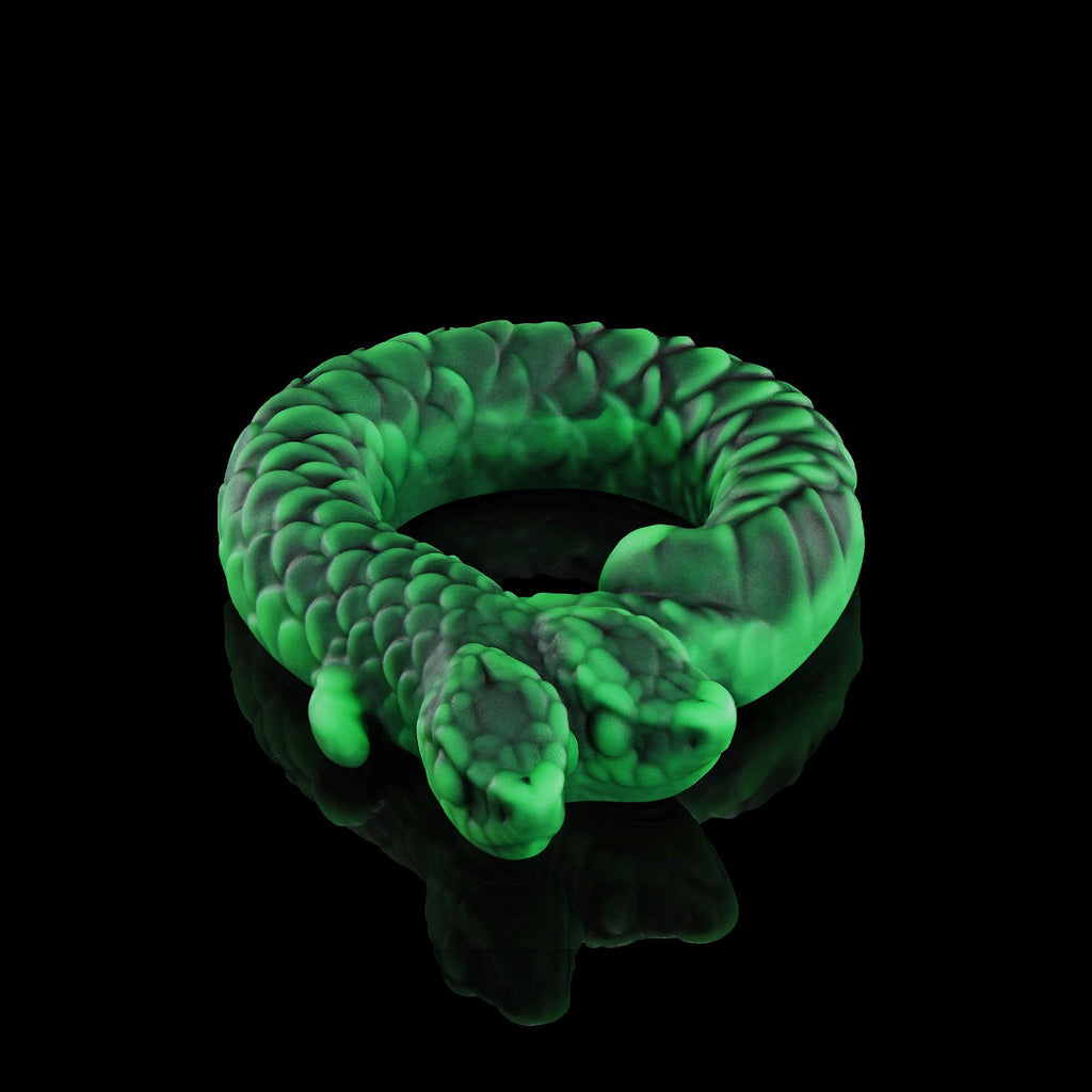 Twin's Ring