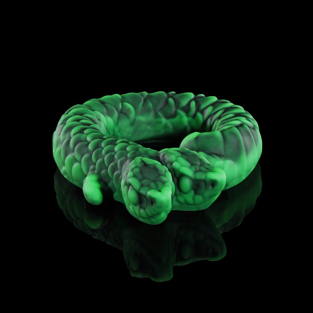Twin's Ring