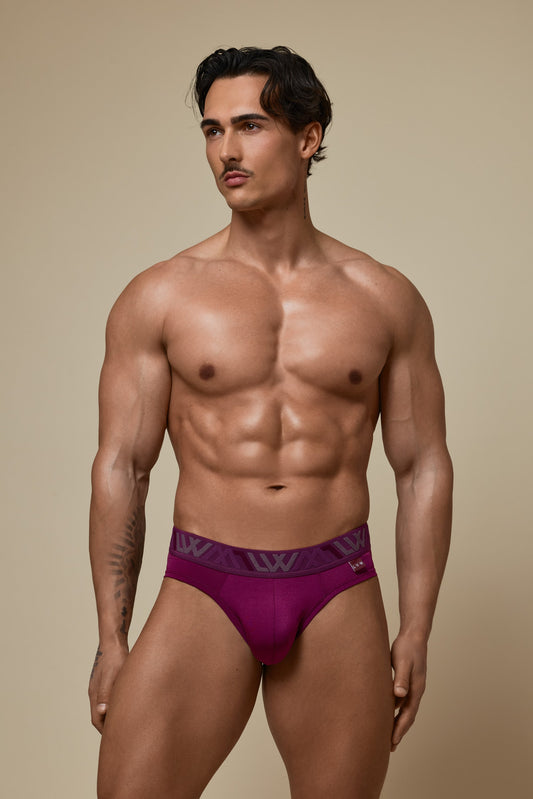 VISIBLY BIKINI BRIEF RENEW SHINE - DEEP PLUM