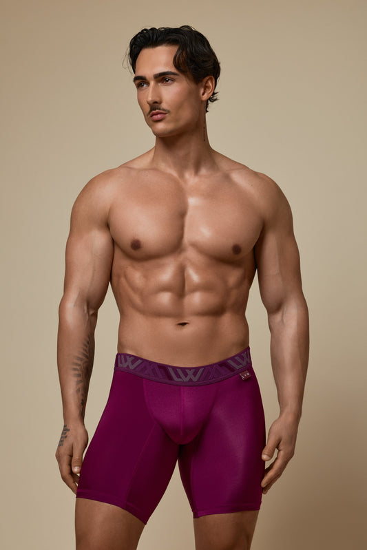 VISIBLY BOXER BRIEF RENEW SHINE 8' - DEEP PLUM