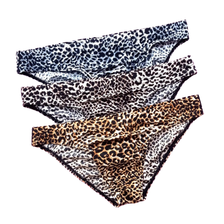 Wild Thoughts Fierce Leopard Men’s Briefs