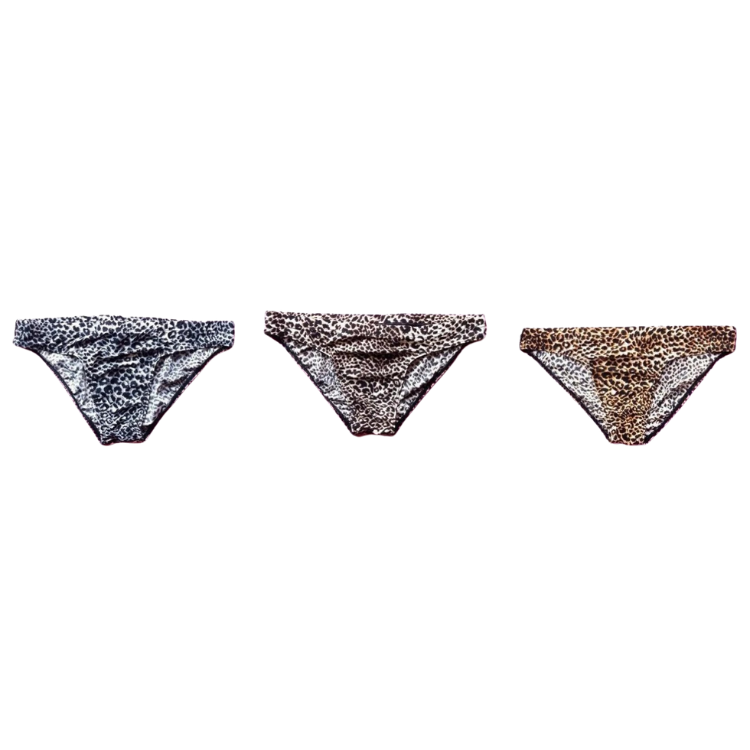 Wild Thoughts Fierce Leopard Men’s Briefs