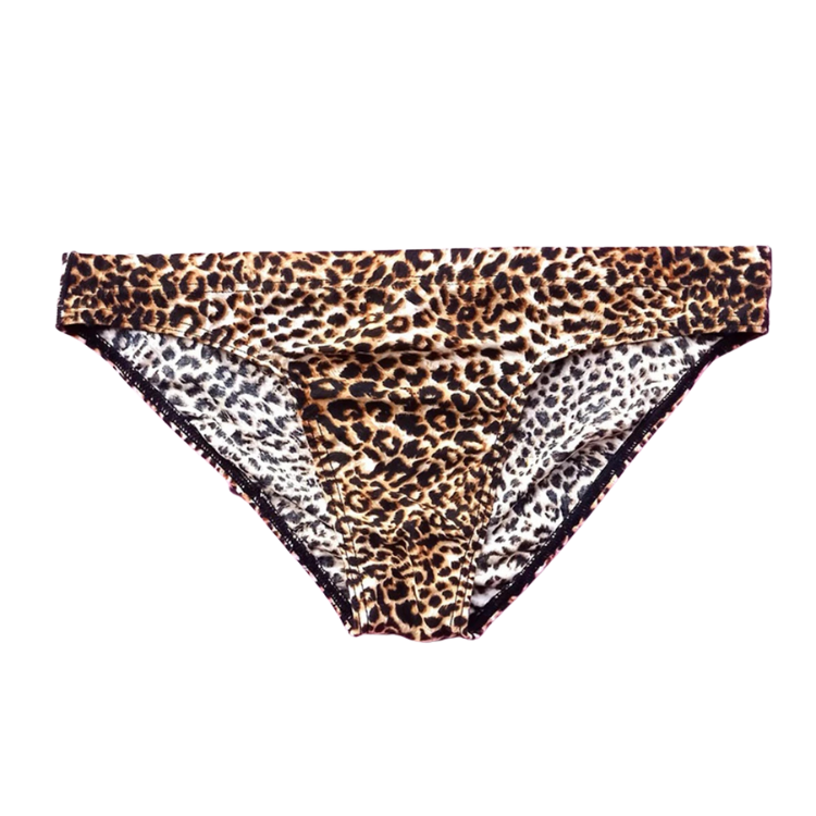 Wild Thoughts Fierce Leopard Men’s Briefs